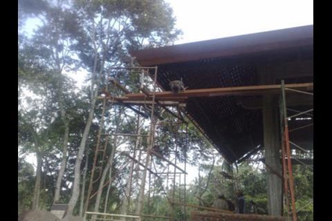 Monkey on the scaffolding